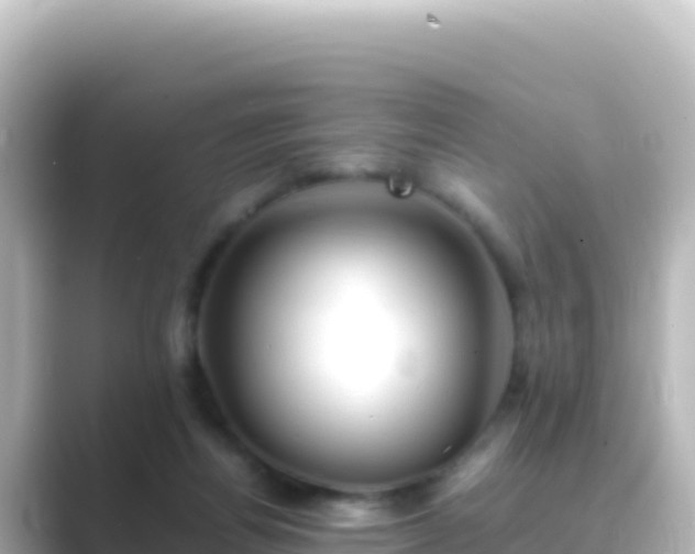 X0000089430164200706221217