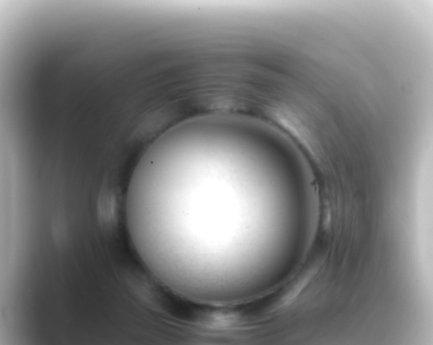 X0000089430165200706221217