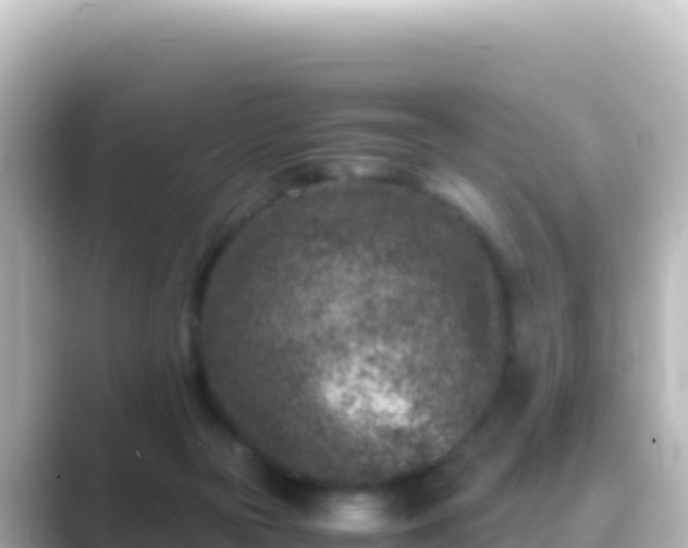 X0000089430169200706221217