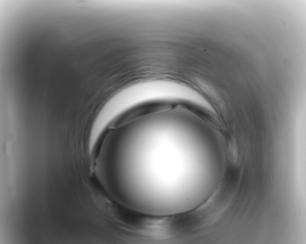 X0000089430170200706221217