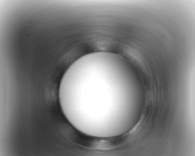 X0000089430174200706221217