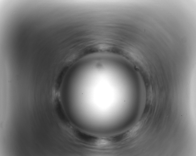 X0000089430176200706221217