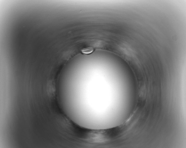 X0000089430179200706221218