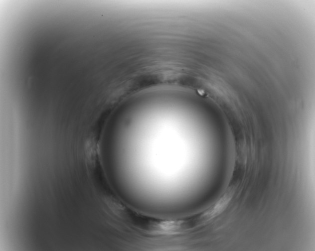 X0000089430184200706221218