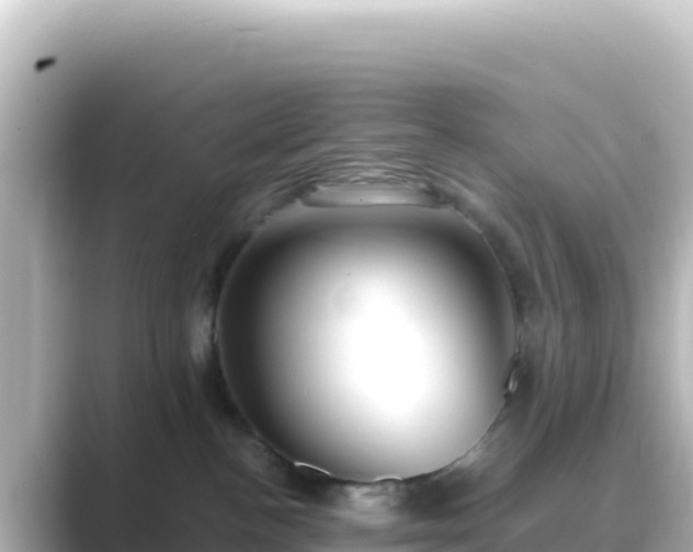 X0000089430188200706221218