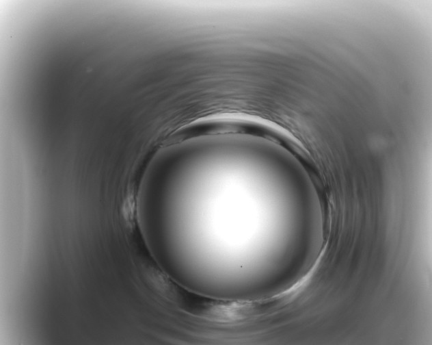 X0000089430190200706221218