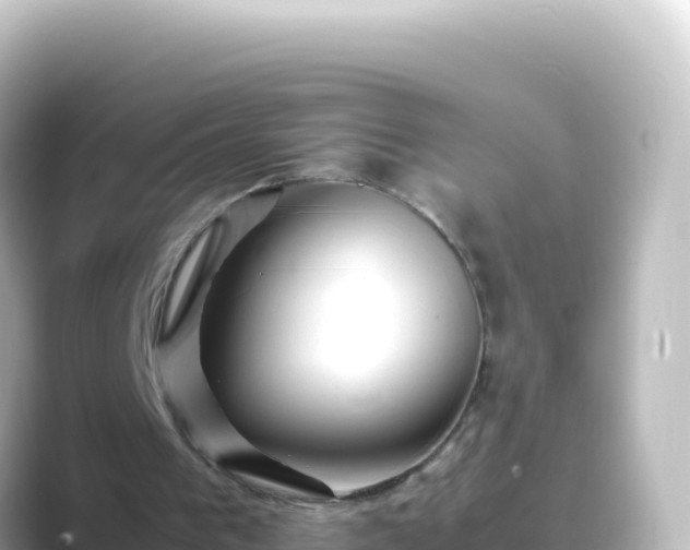 X0000089430193200706221217