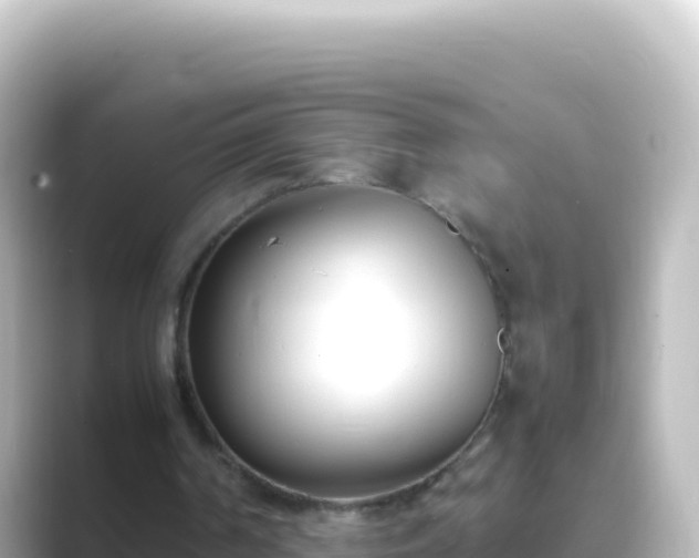 X0000089430194200706221217