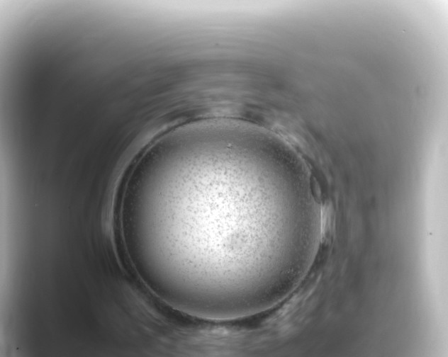 X0000089430195200706221217