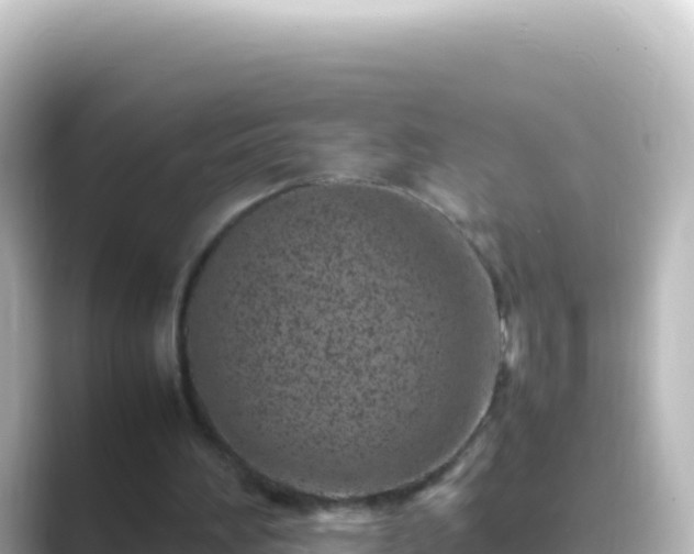 X0000089430196200706221217