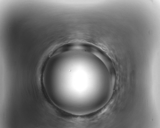 X0000089430197200706221217