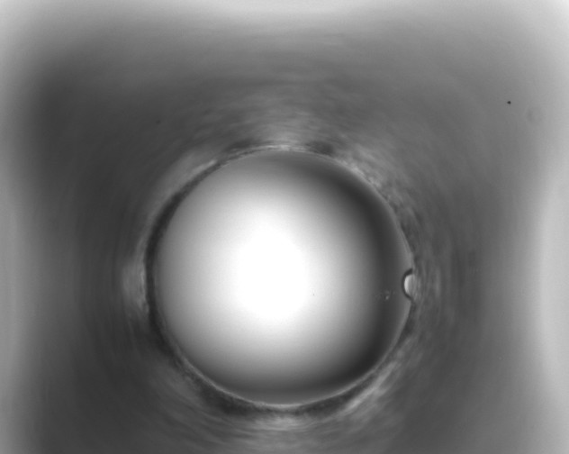 X0000089430198200706221217