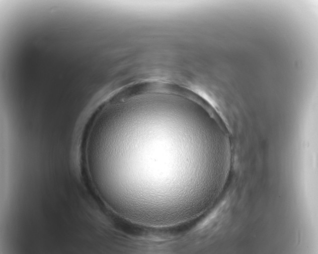 X0000089430199200706221217