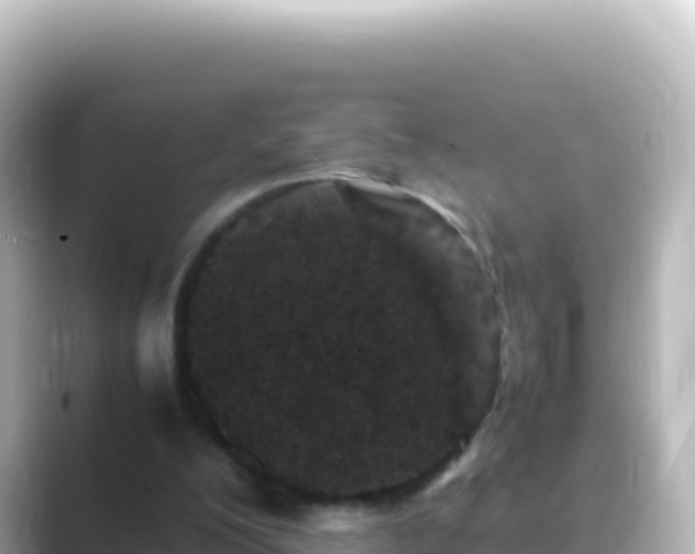 X0000089430200200706221217