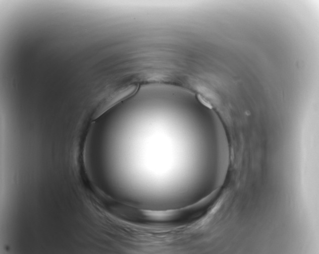 X0000089430201200706221217