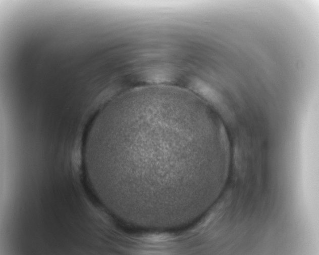 X0000089430202200706221217