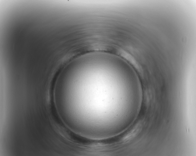 X0000089430203200706221217