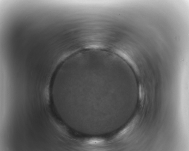 X0000089430204200706221217