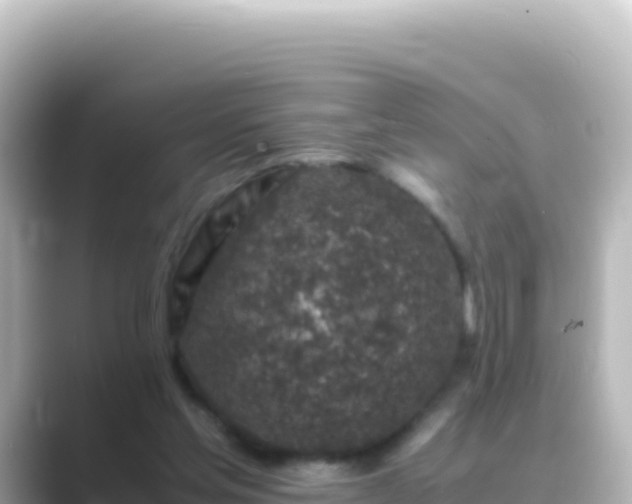 X0000089430205200706221217