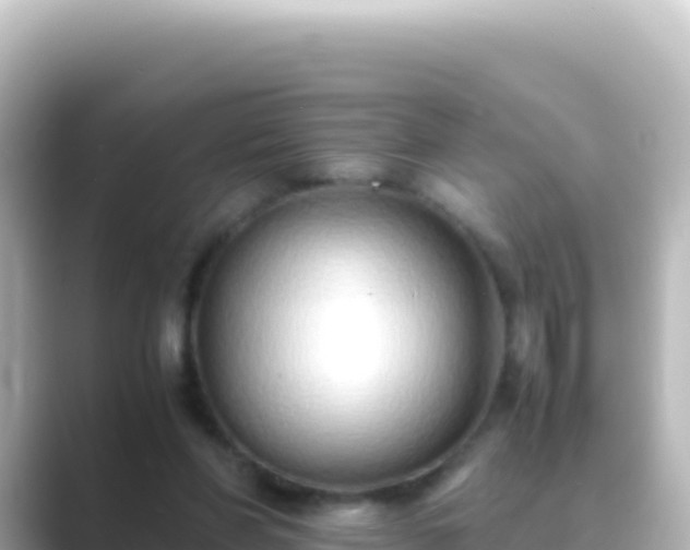 X0000089430206200706221217