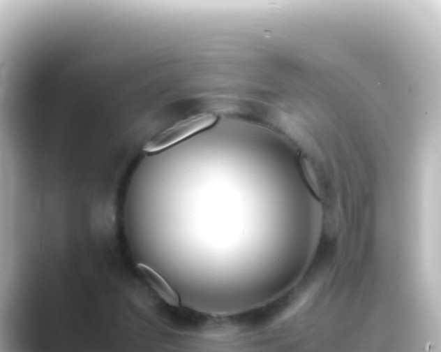 X0000089430207200706221217