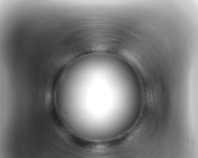 X0000089430208200706221217