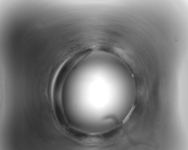 X0000089430209200706221217