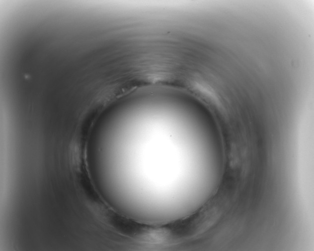 X0000089430210200706221217