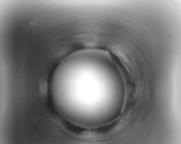 X0000089430211200706221217