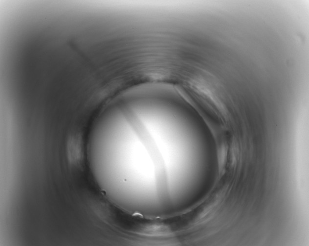 X0000089430212200706221217