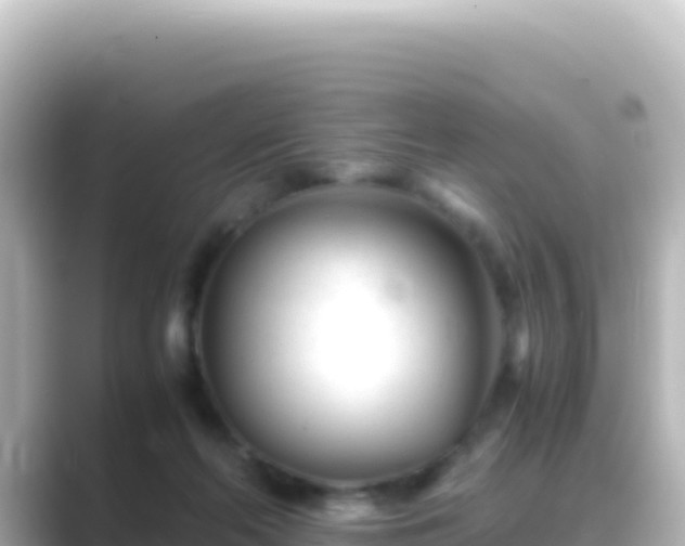 X0000089430214200706221217