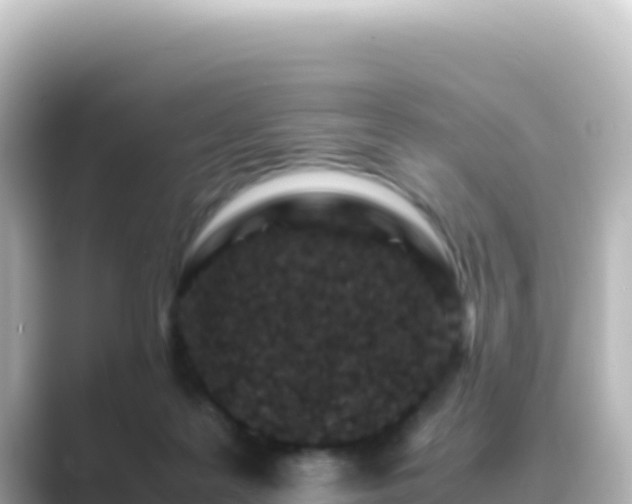 X0000089430219200706221217