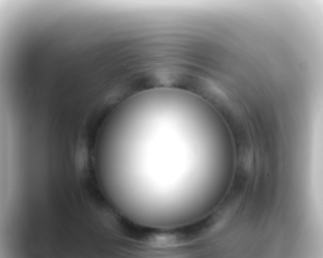 X0000089430220200706221217