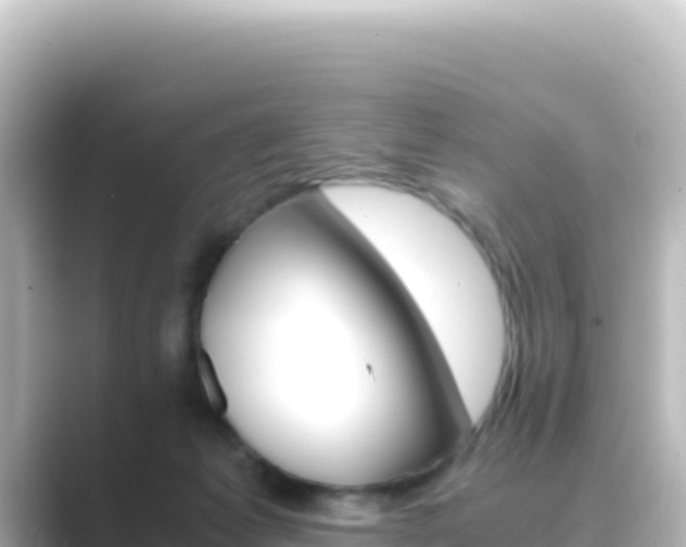 X0000089430221200706221217