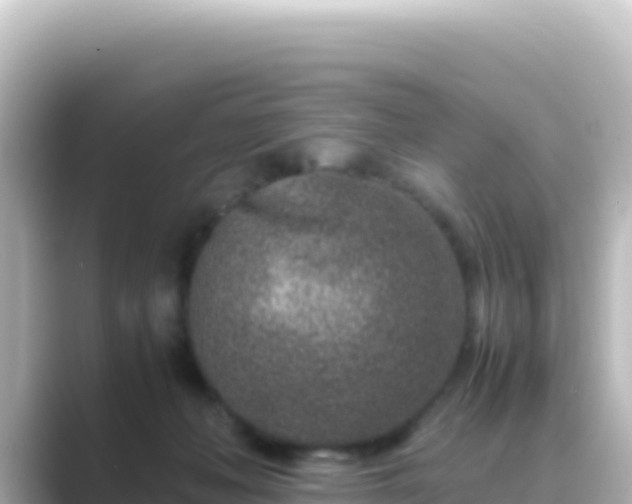 X0000089430222200706221217