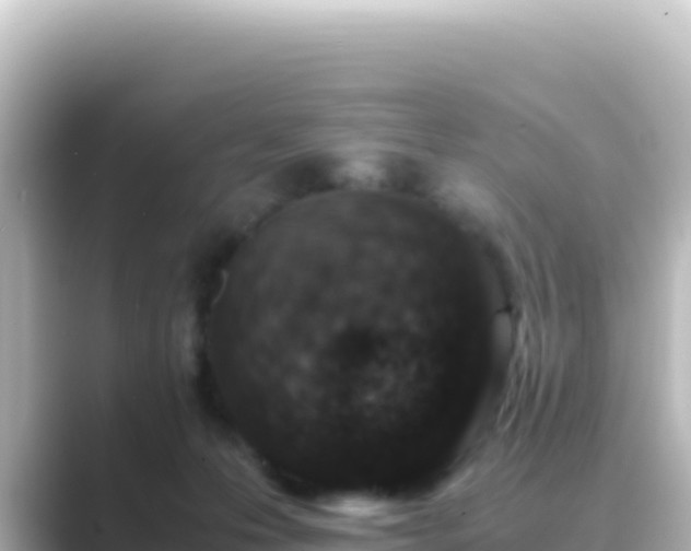 X0000089430223200706221217