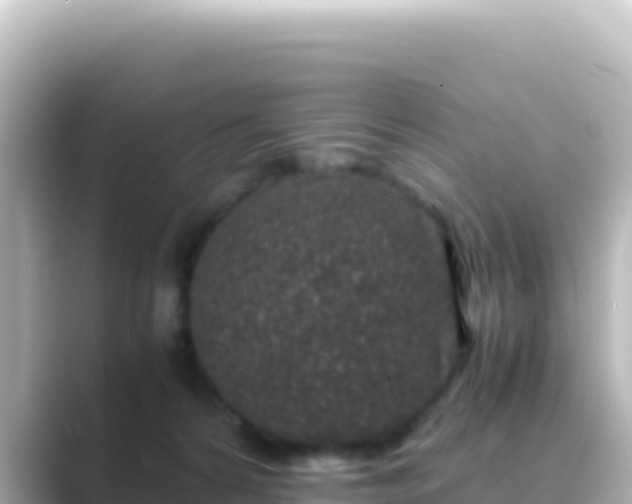 X0000089430224200706221217