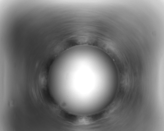 X0000089430226200706221217