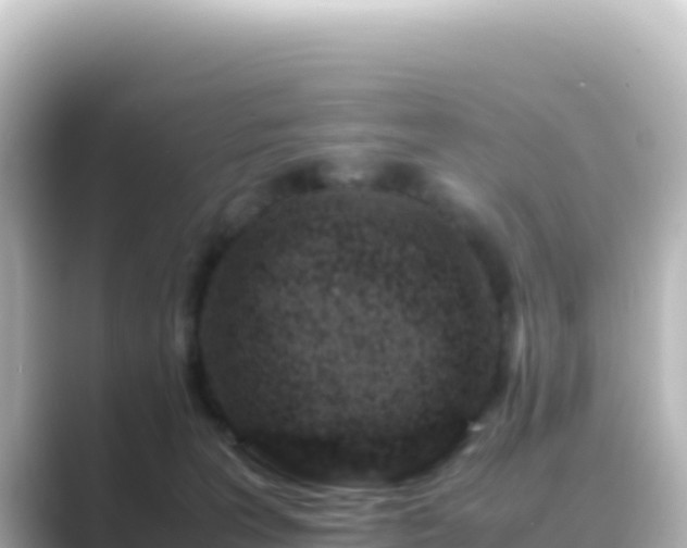 X0000089430227200706221217