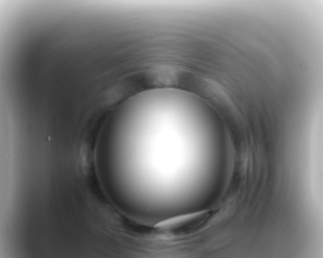 X0000089430228200706221217