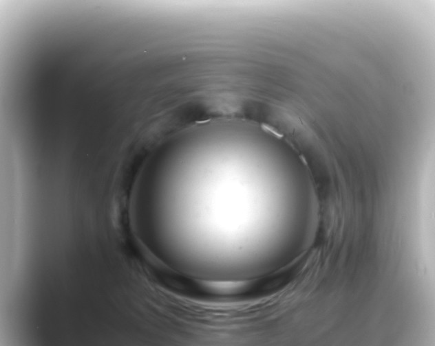 X0000089430229200706221217