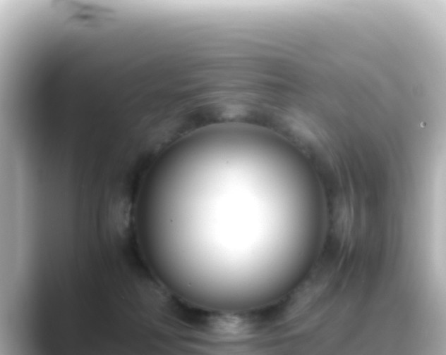 X0000089430230200706221217