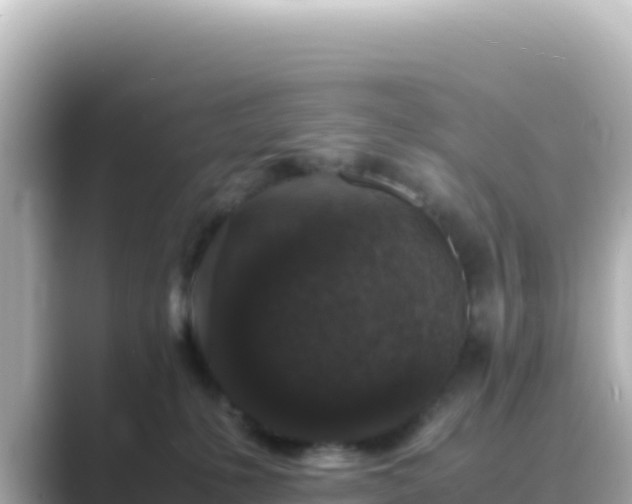 X0000089430231200706221217