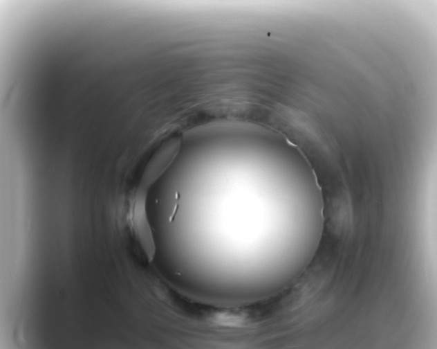 X0000089430232200706221217