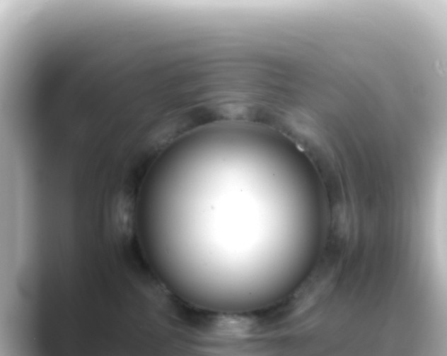 X0000089430234200706221217