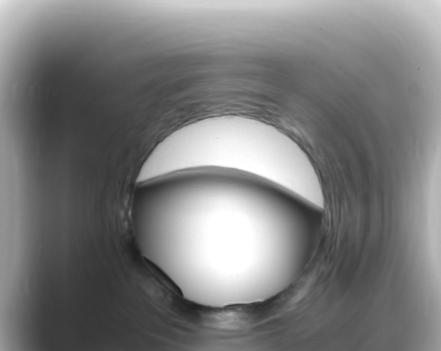 X0000089430237200706221217