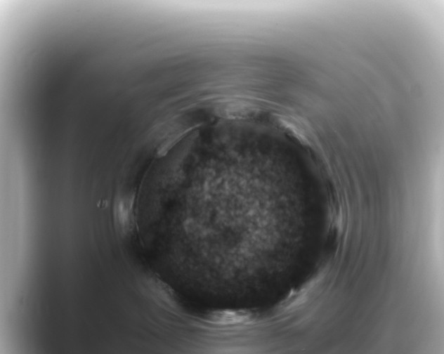 X0000089430239200706221217