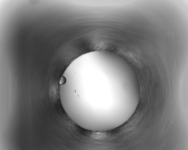 X0000089430240200706221217