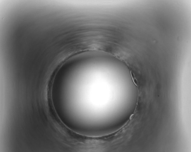 X0000089430242200706221216