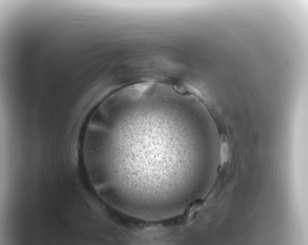 X0000089430243200706221216